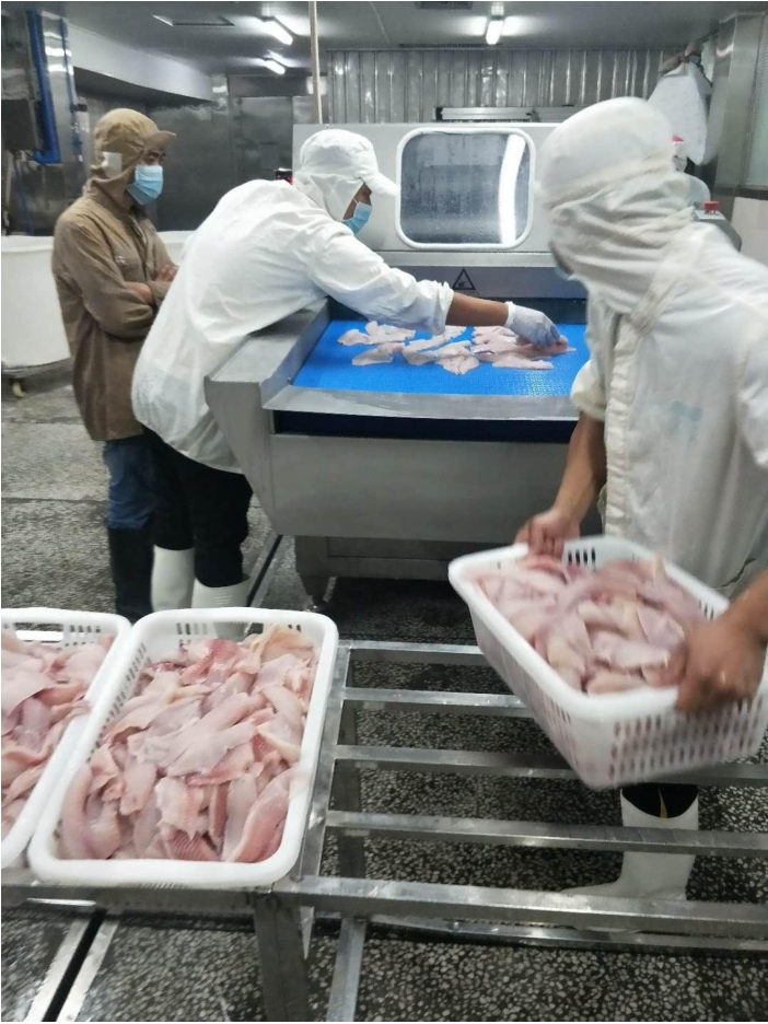 Загрузка рыбного филе в инъектор